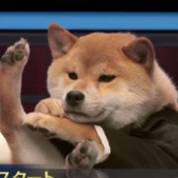 Meet your Posher, Jinnie - Picture 1 of 1